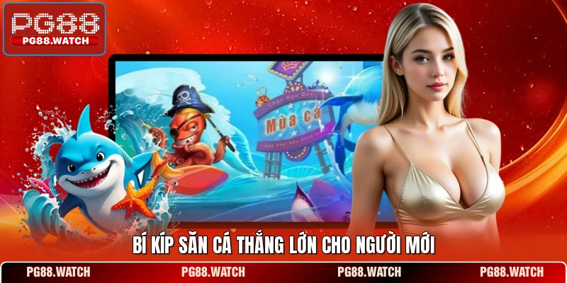 Bí kíp săn cá thắng lớn cho người mới