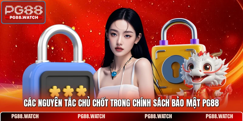 Các nguyên tắc chủ chốt trong chính sách bảo mật PG88