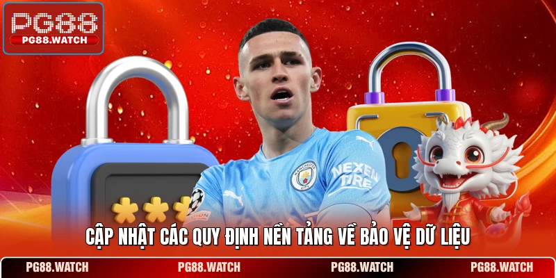 Cập nhật các quy định nền tảng về bảo vệ dữ liệu